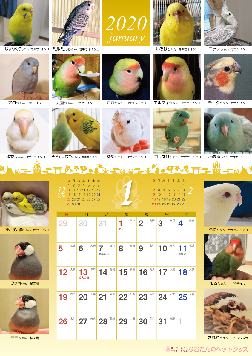 2020年 鳥づくし壁掛けカレンダー 小鳥カレンダー インコカレンダー 鳥