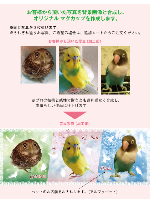 写真を背景画像と合成