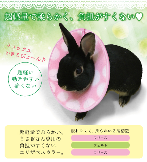 いいネット通販 - 全国送料無料でお届けします うさぎ用エリザベスカラー （L うさぎ用 （エリザベスカラー その他