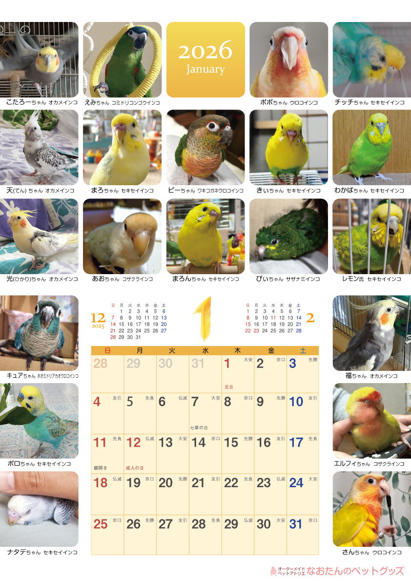 2026年鳥づくし壁掛けカレンダー1月