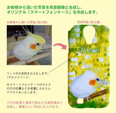 写真を背景画像と合成