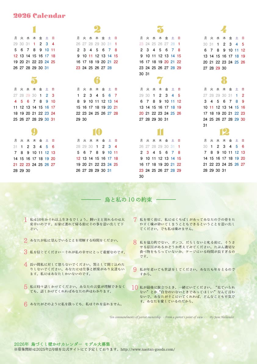 2025年 鳥づくし壁掛けカレンダー(全244羽掲載) 小鳥 2025年 鳥づくし壁掛けカレンダー(全244羽掲載) 小鳥