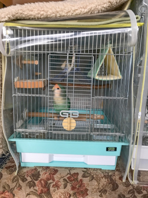 鳥インコ 鳥かご 保温 カバー 手作り 犬 ペット 鳥 犬 猫 ケージ 鳥インコ 鳥かご 保温 カバー 手作り 犬 ペット 鳥 犬 猫 ケージ