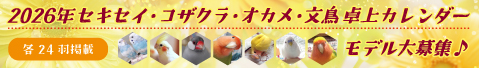 2021年 卓上ペットカレンダーモデル大募集