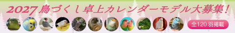 2027年 鳥づくし卓上カレンダーモデル募集 