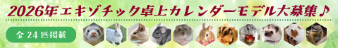 2026年 エキゾチックづくし 卓上カレンダー デグー モルモット ハムスター うさぎ シマリス モモンガ ハリネズミ フェレット