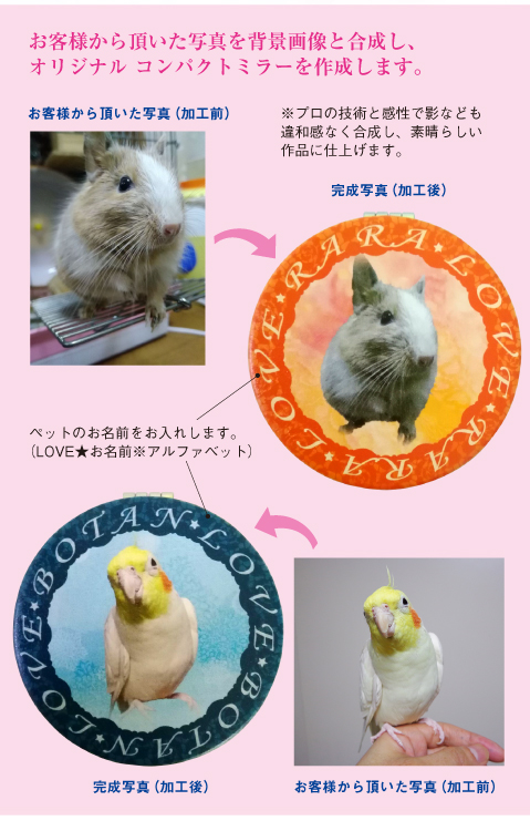 写真を背景画像と合成