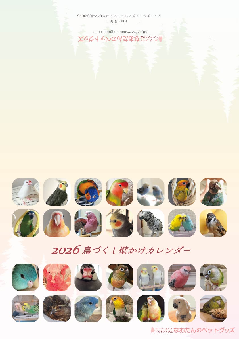 2026年 鳥づくし壁掛けカレンダー（全240羽掲載） 小鳥カレンダー