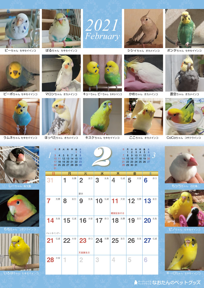 2021年 鳥づくし壁掛けカレンダー 小鳥カレンダー インコカレンダー 鳥