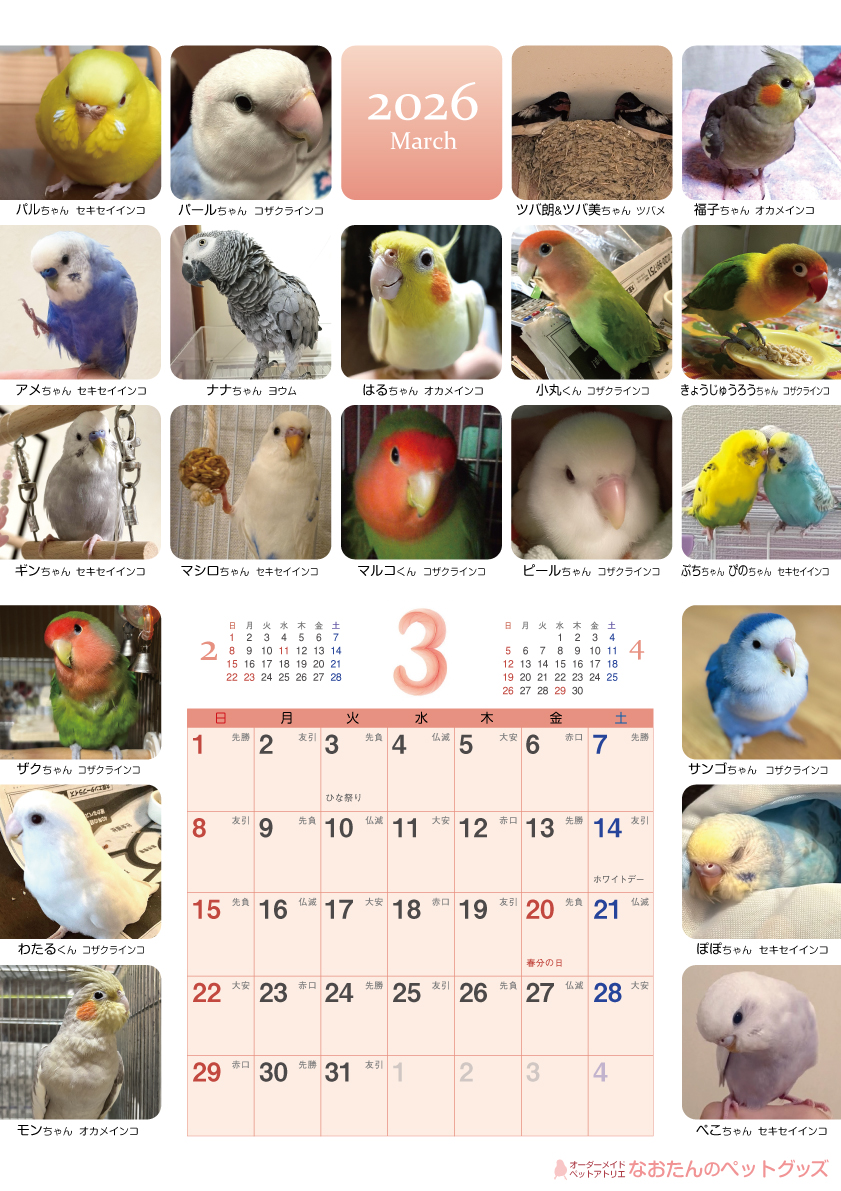 2026年鳥づくし壁掛けカレンダー3月
