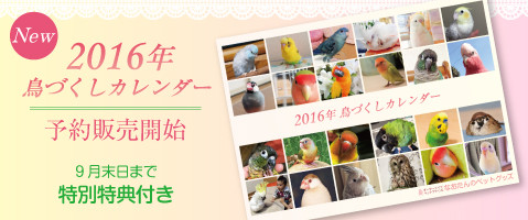 2016年　鳥づくし壁掛けカレンダー