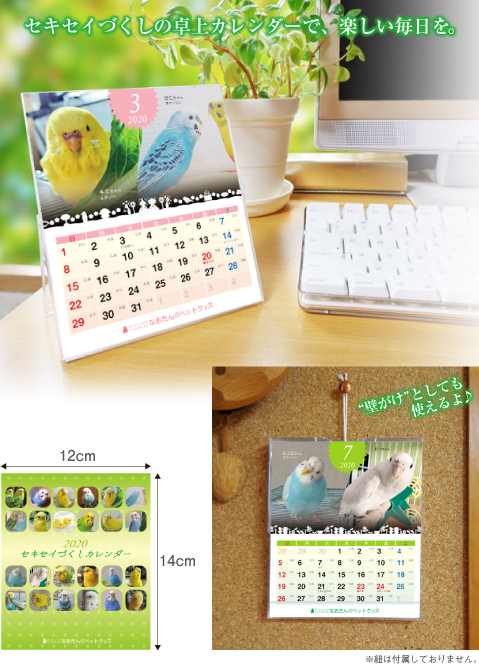 2020年 セキセイインコ 卓上カレンダー - オーダーメイド 2020年 セキセイインコ 卓上カレンダー - オーダーメイド