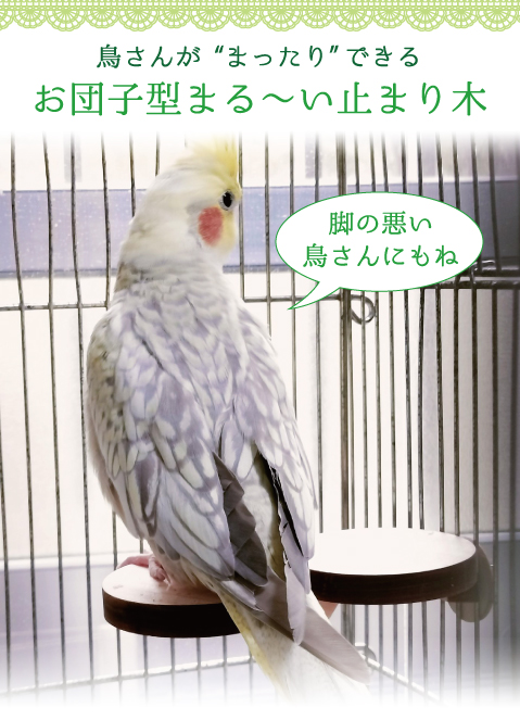 お団子マグネット(みたらし/あんこ/3色) | iiji good magnet osaka