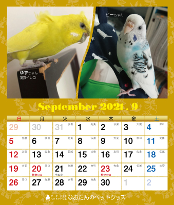 2021年 セキセイインコ 卓上カレンダー - オーダーメイド 2021年 セキセイインコ 卓上カレンダー - オーダーメイド