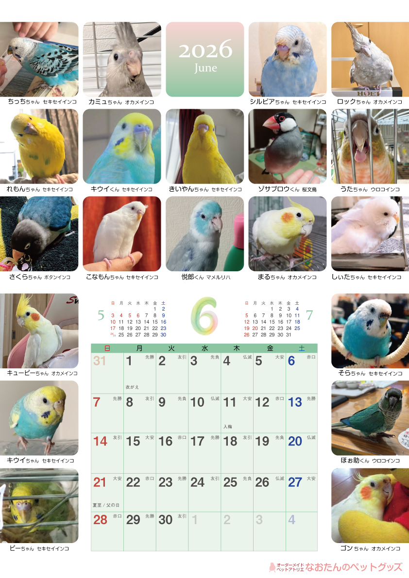 2026年鳥づくし壁掛けカレンダー6月