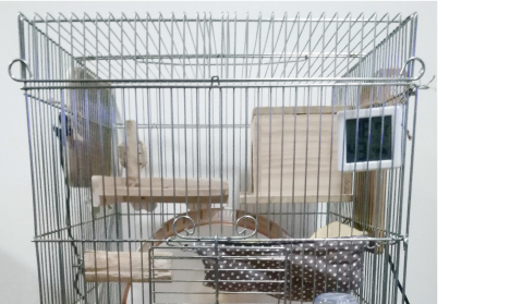 【オーダー専用】デグーハンモック 三角コーナータイプ オーダー専用】デグーハンモック 三角コーナータイプ