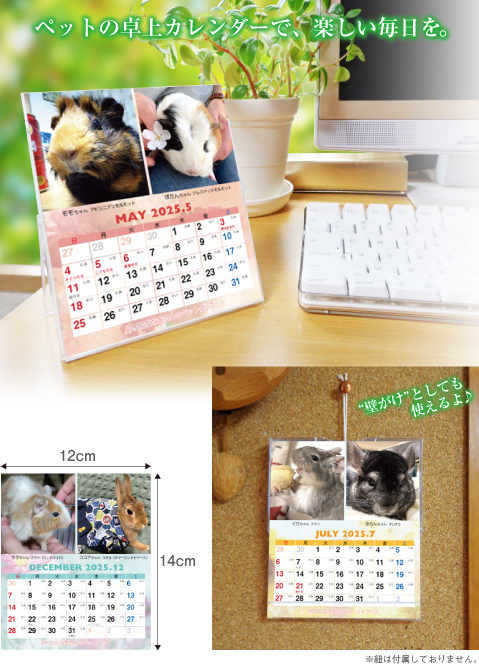 うさたんカレンダー 2021年 ミニ判カレンダー かわいいうさぎのカレンダー | 株式