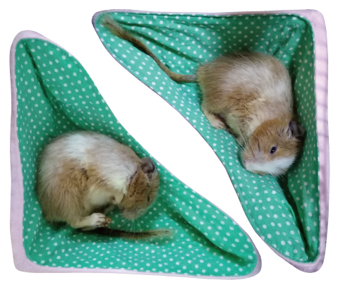 【675】小動物用シングルハンモック・お布団付き 675】小動物用シングルハンモック・お布団付き 小動物ハンモック