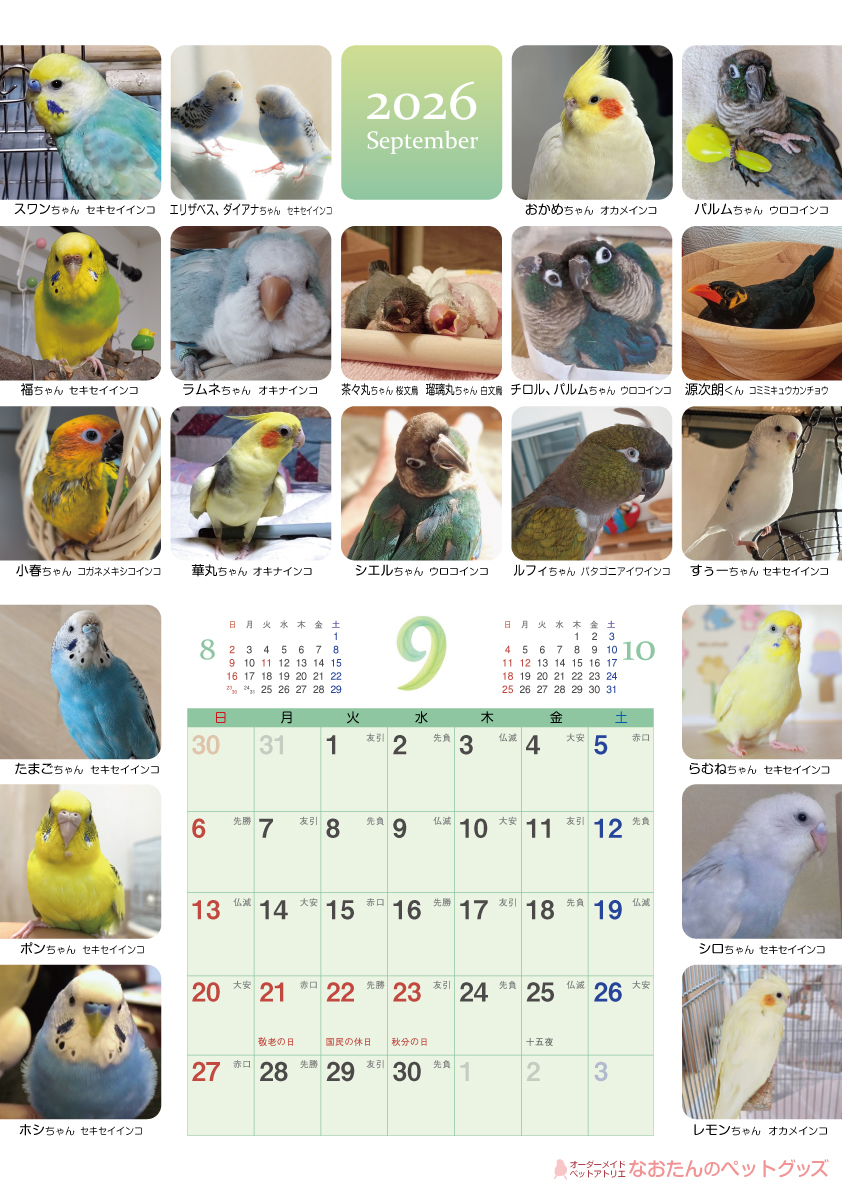 2026年鳥づくし壁掛けカレンダー9月