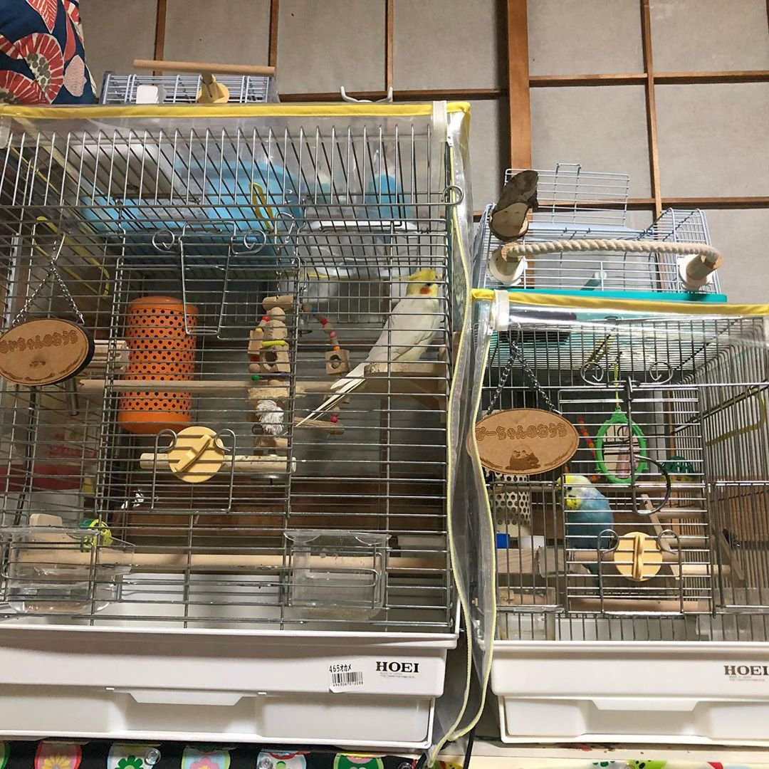 おやすみケージカバー 遮光1級 VISION M01用 インコ しぼれ 文鳥 おやすみケージカバー 遮光1級 VISION M01用 インコ しぼれ 文鳥