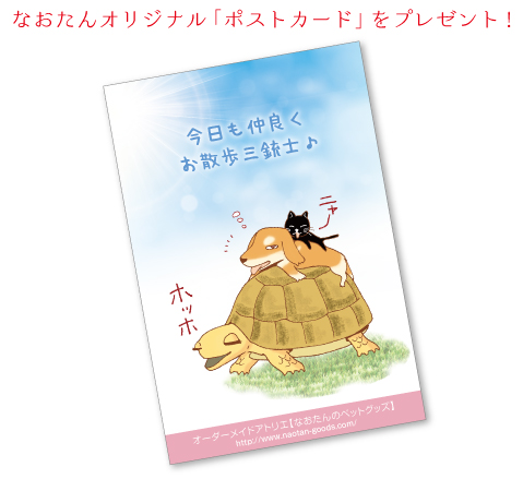 先着50名様に[風船うさぎ モコちゃん名刺]をプレゼント