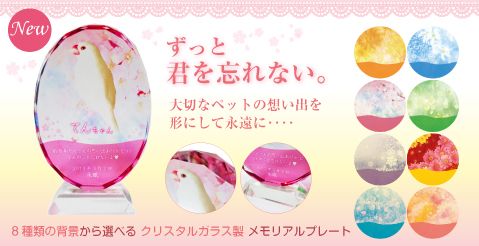 カーロス・リベラ　沖縄三線スタンドオーダーページ カーロス・リベラ様専用 沖縄三線スタンドオーダーページ