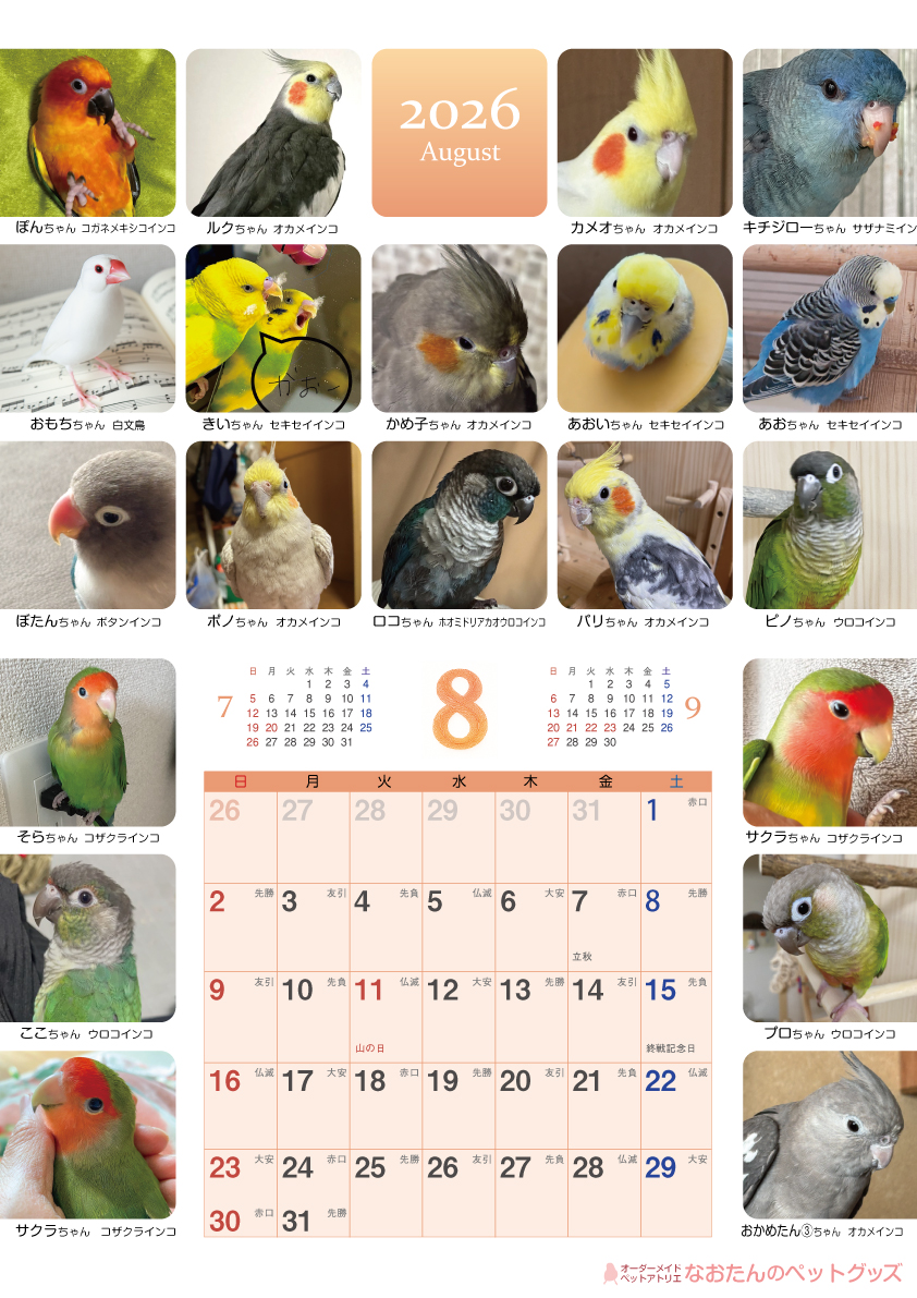 2026年鳥づくし壁掛けカレンダー8月