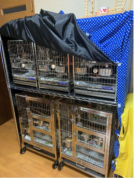 鳥かごおやすみカバー 遮光おやすみケージカバー ② (鳥用遮光 鳥かごおやすみカバー 遮光おやすみケージカバー ② (鳥用遮光