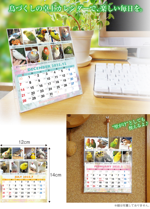 Amazon | 虎屋 2025 卓上カレンダー 2冊 | カレンダー | 文房具