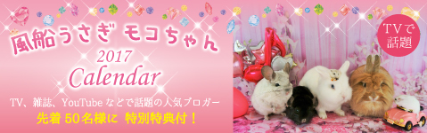 2017年 風船うさぎ モコちゃんカレンダー