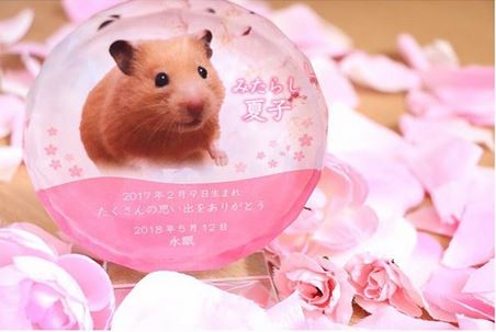 ペットのメモリアルプレート お位牌(お客様の声)