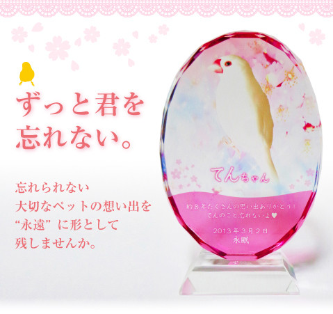 メモリプレート イメージ