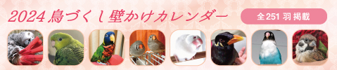 2024年 鳥づくし壁掛けカレンダー（ 小鳥カレンダー インコカレンダー 鳥カレンダー