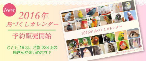 2016年 鳥づくし壁掛けカレンダー