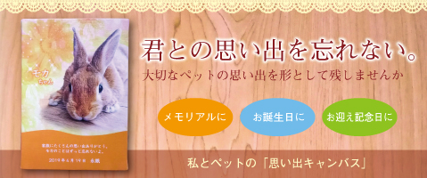 ペット メモリアルキャンバス 思い出 位牌 お位牌 オーダーメイド 名入れ 遺影 誕生日 記念日 お迎え ペット 鳥 うさぎ 犬 猫 小動物 爬虫類 SM号 F3号 イーゼル 絵画用