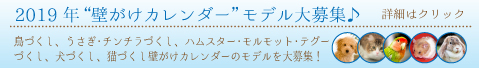 2019年ペット壁がけカレンダー募集