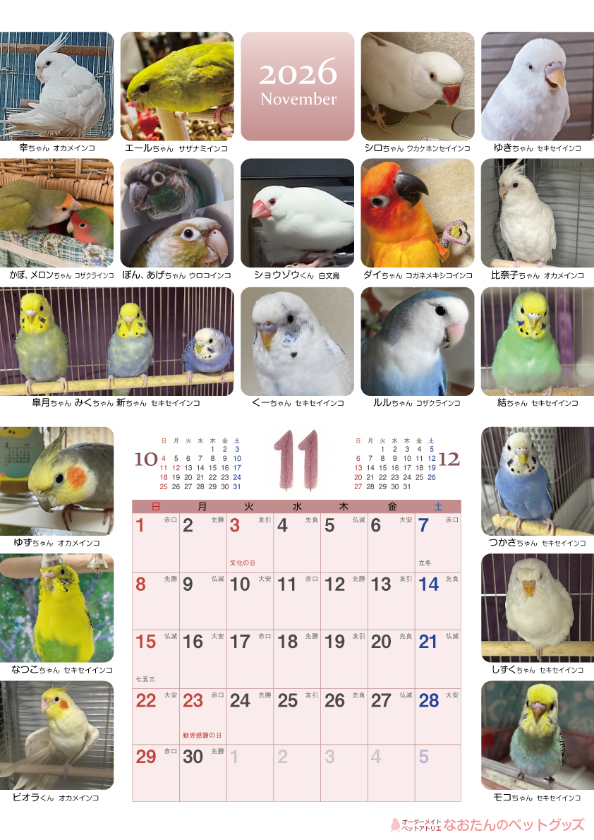 2026年鳥づくし壁掛けカレンダー11月