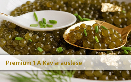 Grafik: Willkommen bei GOLDEN CAVIAR, SAM TABATABAI | KAVIAR & SAFRAN AUS HAMBURG