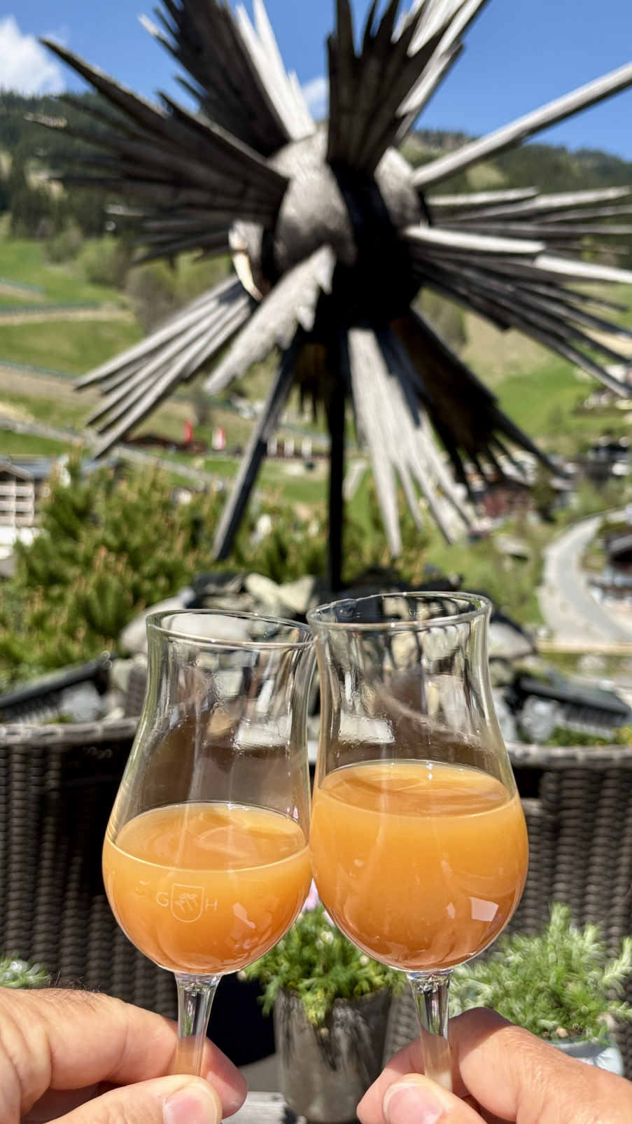 Aperitif für die Darmflora