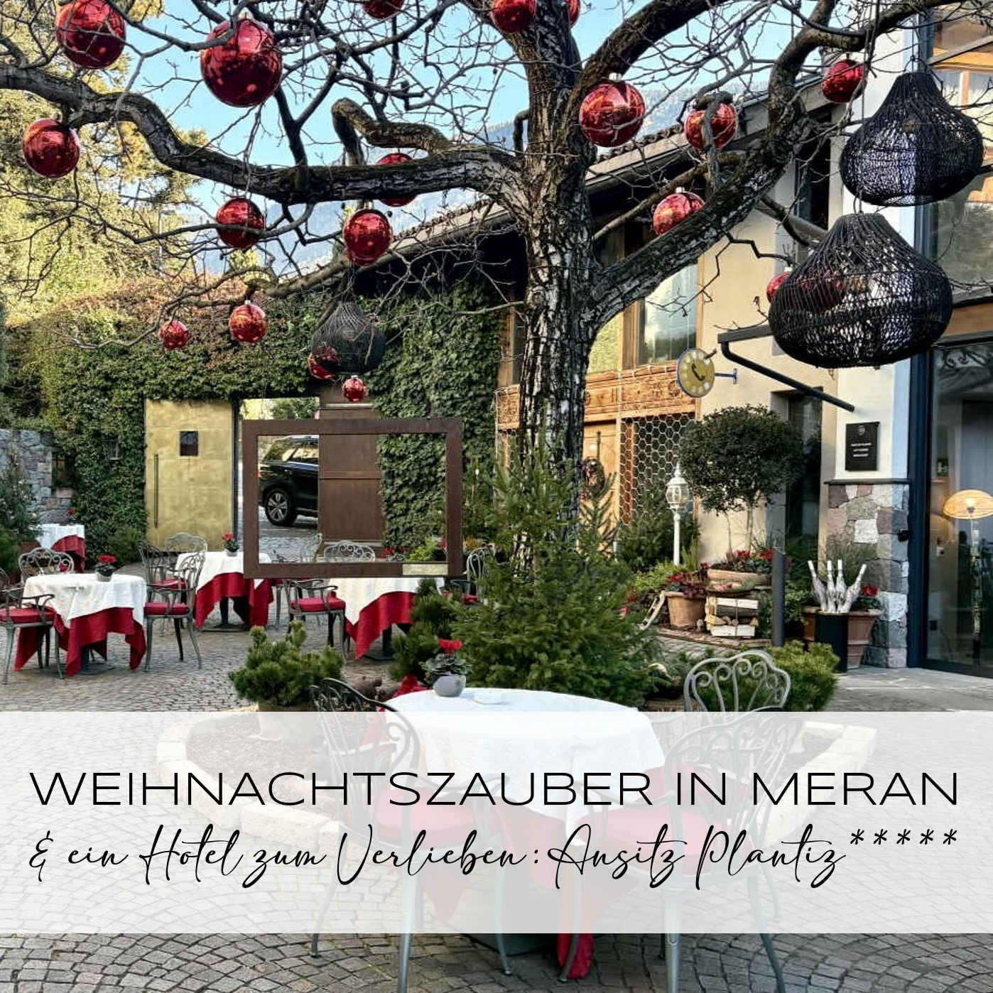 JETZT SCHON EINPLANEN!