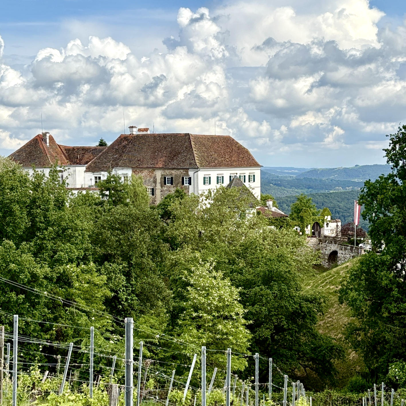 ENTDECKE DIE SCHÖNSTEN ERLEBNISSE RUND UM DAS BOUTIQUEHOTEL "maison 41" IM STEIRISCHEN VULKANLAND