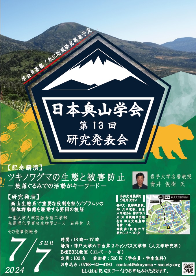 ブナ(山取)特別価格撮影日2023,10,26日 ブナ(山取)特別価格撮影日2023,10,26日