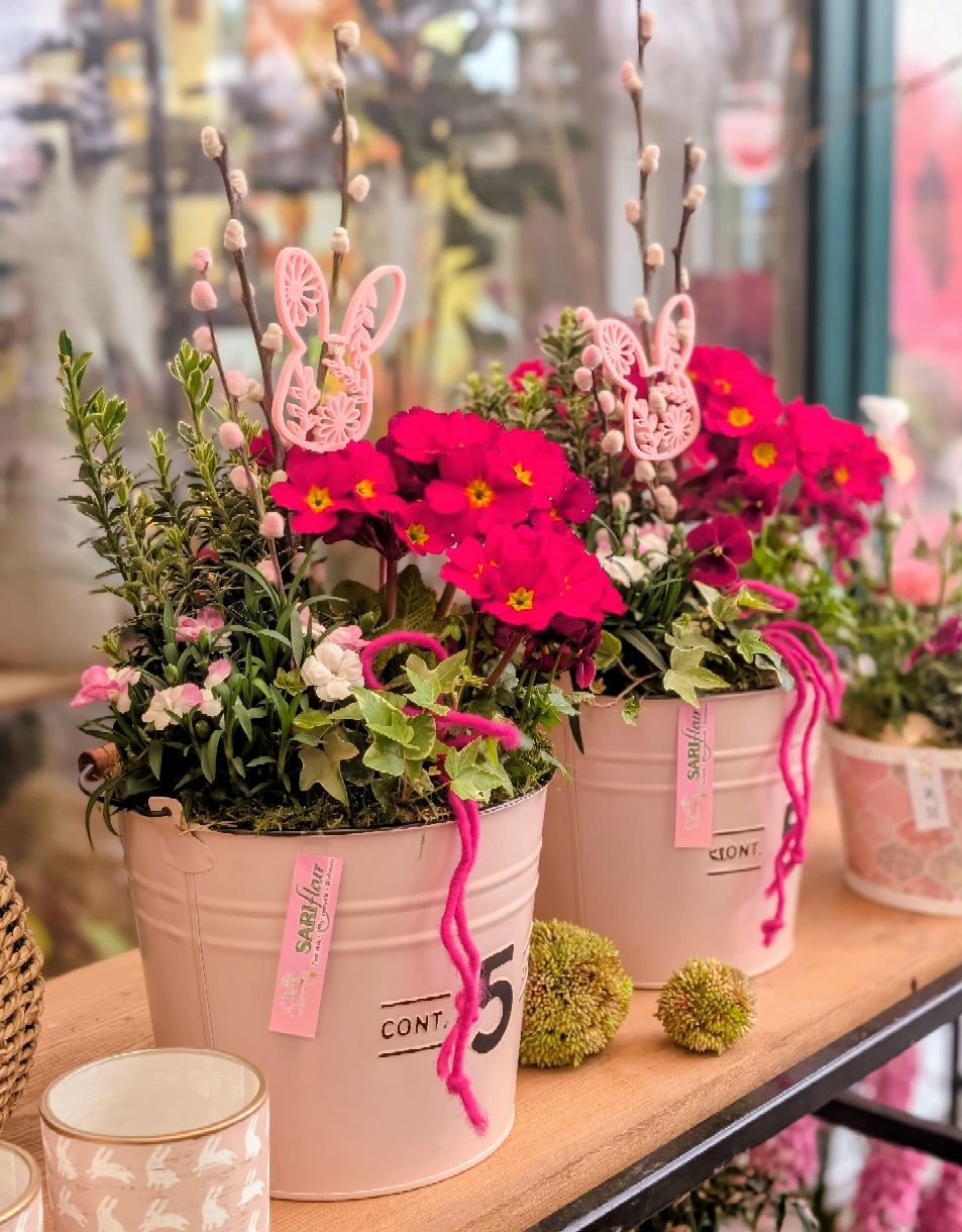 Die Pflanzzeit hat begonnen 🌸🌿 Der Frühling zeigt sich von seiner schönsten Seite – und passend dazu sind unsere Frühlingspflanzen jetzt in voller Vielfalt für euch da. Ranunkeln, Bellis & Co. bringen frische Farben und gute Laune in Garten, Balkon und auf die Terrasse. Doch nicht nur das: Die ersten Sommerboten sind ebenfalls schon eingezogen! Geranien, Petunien, Husarenknöpfchen und viele weitere Schönheiten stehen bereit und warten darauf, bei euch ein neues Zuhause zu finden. Jetzt ist die perfekte Zeit, um loszulegen und alles zum Blühen zu bringen 🌼✨