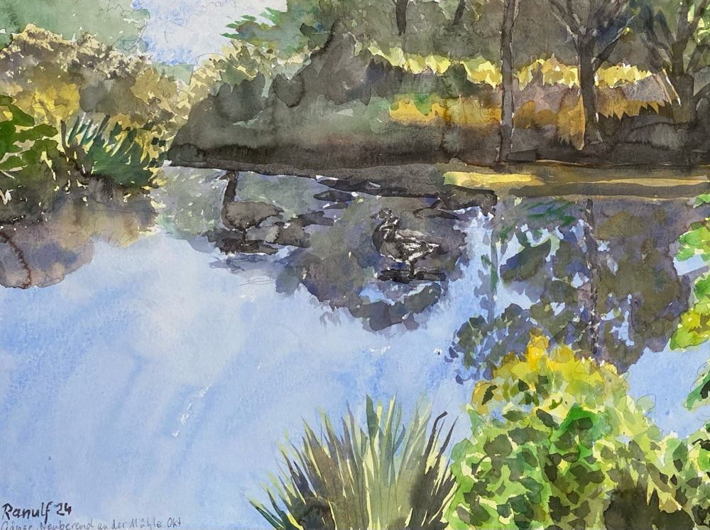 Teich mit Gänsen, 2024