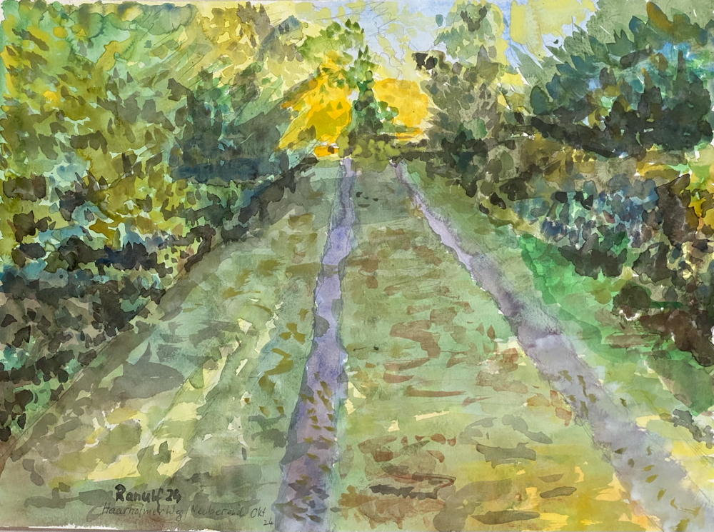 Wanderweg, 2024
