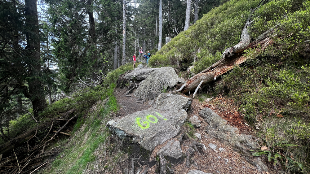 auf dem Uphill zum Osser