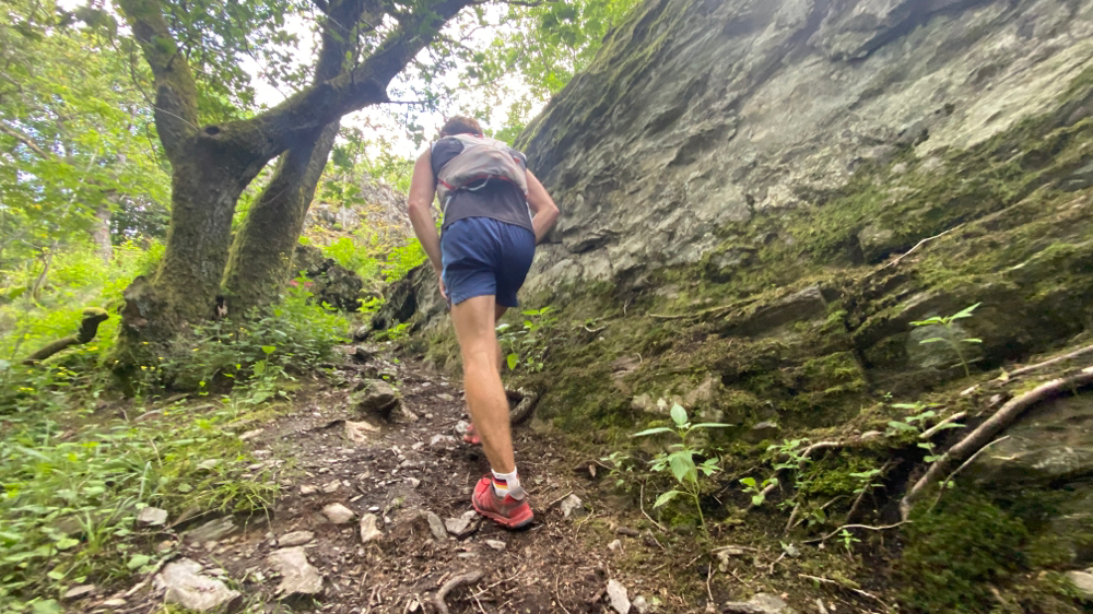 Taunus Trailrunning