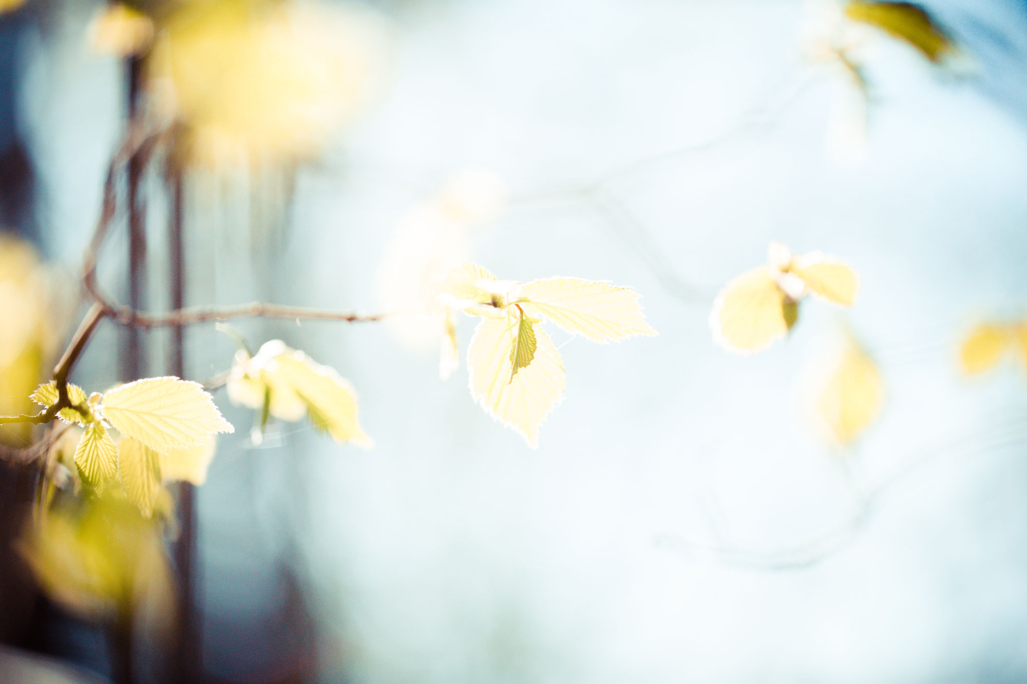 (c) Creativemotion.ch