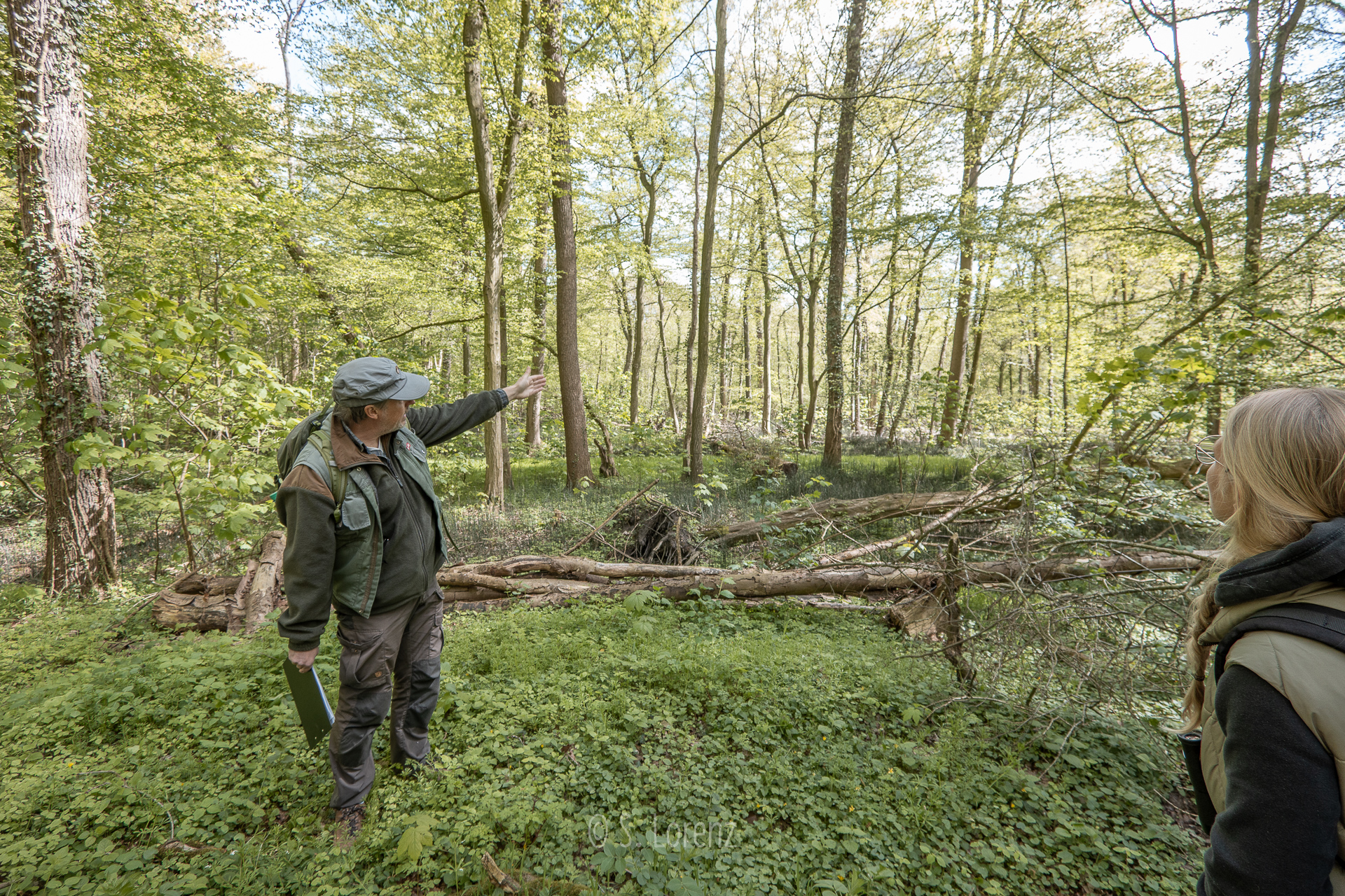 Exkursion in die Horster Büsche (Gristeder Büsche)