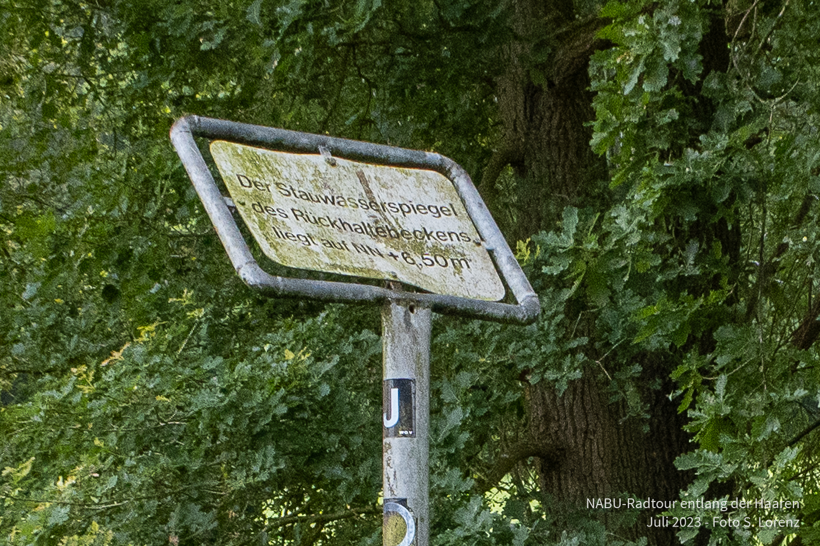 Hochwassermarke, die bei langanhaltenden Regen (i.d.R. im Winter) erreicht wird. 